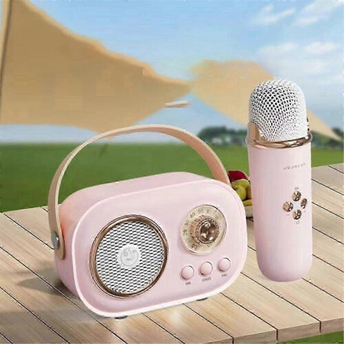 Amplificatore audio portatile wireless Bluetooth per karaoke domestico e utilizzo con microfono per bambini, altoparlante microfono compatto 1