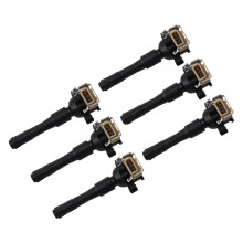 6PCS Ignition Coil for 323I 325I 328I 330I 525I 528I 530I M3 M5 12137599219 12131748017 12131748018