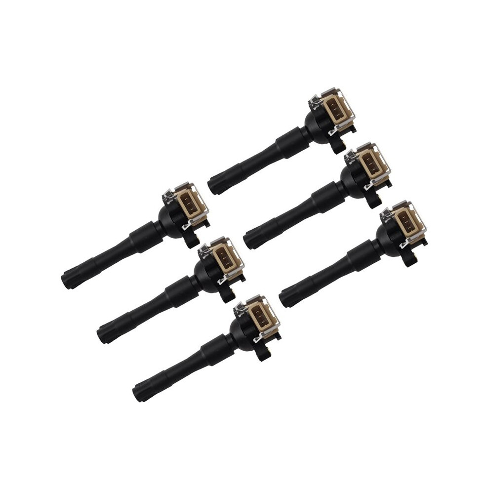 6Pcs Ignition Coil For 323I 325I 328I 330I 525I 528I 530I M3 M5 12137599219 12131748017 12131748018 6031377070123