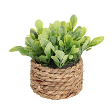 Small Fake Potted Plants,Seagrass Handwoven Planters,Eucalyptus Plant for Home Bathroom Shelf Tabletop Desk Room Decor B
