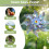 2026 10pcs Bird Repellent Windmill, Bird Repeller, Bird Repeller Windmill, Bird Rep 5