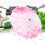 Cream White Silk Tassel Umbrella 5