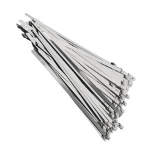 200x 4.6mm Steel Cable Ties for Hoses