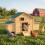 PawHut PawHut Chicken Coop with Nesting Box, Openable Top, Pull-Out Tray, Yellow 1