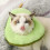 Elizabethan Collar, Cat Recovery Collar Protective Collar Adjustable Soft Edge Breathable Designed P 5
