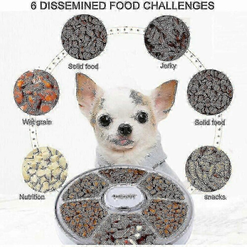 Automatic Pet Feeder, Automatic Pet Food Dispenser with 6 Meals, Digital Timer 1