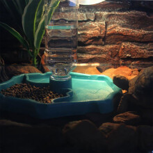 Dispensador de agua 2 en 1 para reptiles, ideal para tortugas y terrarios. Fabricado en plástico resistente para uso diario.