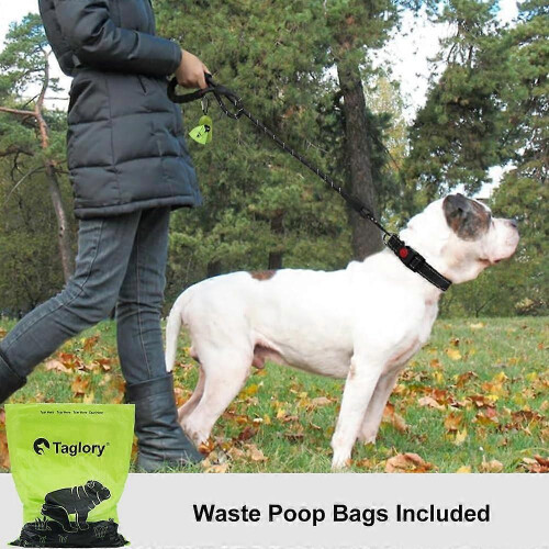 Rope Dog Leash 6 FT with Comfortable Padded Handle, Highly Reflective Threads Dog Leash 1