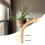 Waterproof Wood Plant Hook for Decorative Use in Various-1 3