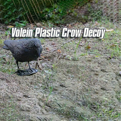 Ρεαλιστικό αποτρεπτικό πουλιών Raven Decoy για εξωτερικό έλεγχο παρασίτων κα 1