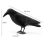 Ρεαλιστικό αποτρεπτικό πουλιών Raven Decoy για εξωτερικό έλεγχο παρασίτων κα 3