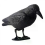Ρεαλιστικό αποτρεπτικό πουλιών Raven Decoy για εξωτερικό έλεγχο παρασίτων κα 4