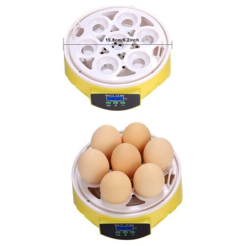 Mini Egg Incubator, 7-Egg Capacity Hatching Tool for Poultry, Compact Automatic Temperature Control Design 1