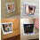 Large Cat Door for Interior Use 25 cm x 23.5 cm 4 Mode Switch Durable Plastic Indoor Access Panel 3