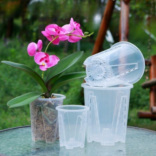 Ειδική γλάστρα Phalaenopsis, γλάστρα ελέγχου ριζών Qingshan, πλαστική, παχιά, μεγά 1