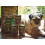 Lily's Kitchen Lily's Kitchen Advent Calendar for Dogs 2