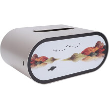 Boîte à Mouchoirs Lumineuse (1 Pièce), Idéale pour les Chambres et les Coiffeuses, Veilleuse pour Enfants
