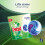 Persil Persil Bio laundry capsules fast-dissolving Washing pods 144 Washes, 3 Pack 6