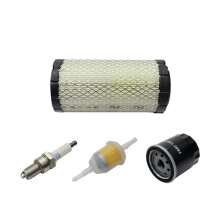 Cart Tune Kit for EZGO TXT RXV Gas Air Filter, Filter & 28463G01 72084G01 607454 607462