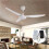 Ceiling Fan Remote Control Replacement for W/Light Style, Non- Model, Signal Receiver Included 5