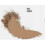 (005 Ivory) Langdurige Finish Poeder Foundation Compact 10g 2