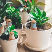 4PCS Terracotta Watering Spikes, Ollas Self Watering Globes, Slow Self Watering Planter Insert, Plant Watering Globes
