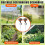 1set/4pcs Professional Garden Metal Sprinkler with 360 Degree Adjustable Rotating Nozzle Pulse Irrigation System 5