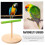 Bird Training Stand for Parrots Interactive Perch Stand Floor and Birdcage Use for Training and Playtime Activities 7