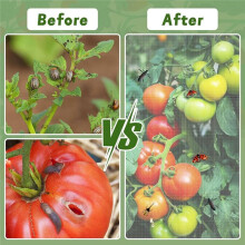 3 Pcs Garden Bird Netting Plant Cover for Square Tomato Cage, 59" X 17.7" Insect Bird Barrier Tomato Cage Net