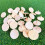 20Pcs Premium Wooden   Markers for Enhanced Alignment and Quick Soil Insertion 6