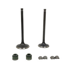 Motorradventile + Öldichtungen + Sicherungsclips-Set für GS200 DR200 QM200GY GXT200