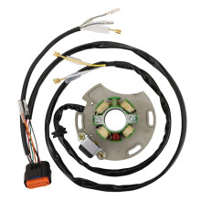 Bobina de Estator para GasGas EC125 MC125 EC250 EC300 MC250534005 EE700001213 / Bobina de Estator para GasGas MC 125 EC 125 250 300
