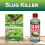 Ecofective Ferrimax Slug Control 250g 3