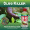 Ecofective Ferrimax Slug Control 250g 12