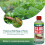 Ecofective Ferrimax Slug Control 250g 13