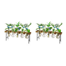 2X EstaçõEs de PropagaçãO Desktop Ar Planta Terrário, Plantador de Vidro Bulbo Vaso de Vidro com Suporte de Madeira - Planta Terrário