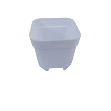 Hvid 4 cm diameter mini bonsai sukkulent kimplanteplantning plastik urtepotte sukkulentplantning hvid firkantet potte_m