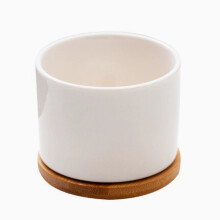 Maceta de cerámica para suculentas, maceta sencilla de porcelana blanca transpirable._M