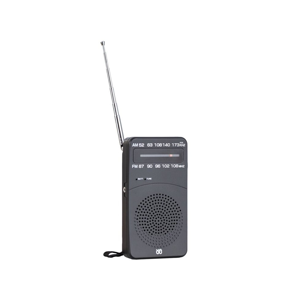Photos - MP3 Player W909 Radio FM/AM Dual-Band 3.5mm Interface Pointer Type Radio Portable Emergency Radio for Elderly and Children B