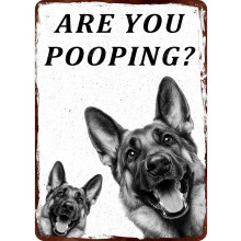 (Metal Sign 35, 8×12 Inch) Metallinen kyltti - Aasi oletko kakkaamassa, hauska tinakyltti kylpyhuone-wc, 812 tuumaa