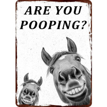 (Metal Sign 37, 8×12 Inch) Metallinen kyltti - Aasi oletko kakkaamassa, hauska tinakyltti kylpyhuone-wc, 812 tuumaa