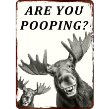 (Metal Sign 25, 8×12 Inch) Metallschild - Esel Kackst Du, lustiges Blechschild für Bad Toilette, 20x30 cm
