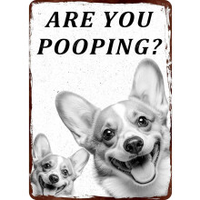 (Metal Sign 31, 8×12 Inch) Metallschild - Esel Kackst Du, lustiges Blechschild für Bad Toilette, 20x30 cm