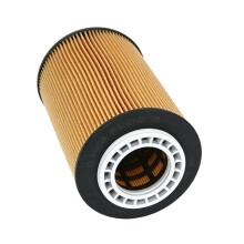 51055010013 51055010019 P551088 Oil Filter Element for TGS/TGX Trucks
