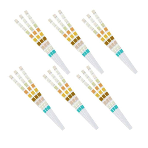 300 Strips Urine Test Strip 10 Parameters