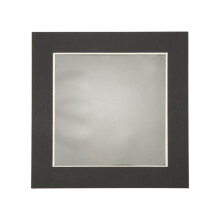 Magnetic Viewing Film, 4inchx 4inch Magnetic Field Viewer for Scientific Projects,Reusable and Automatic Recovery