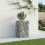 VidaXL vidaXL Gabion Raised Bed Silver 4