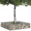 VidaXL vidaXL Gabion Raised Bed Silver 3