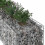 VidaXL vidaXL Gabion Raised Bed Silver 4