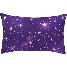 (Purple Starry Sky Pattern, 24" x 16" (Pack of 1)) Vårblomma målning ländryggskuddfodral – 14x20 tum rektangulärt fodral med dold dragkedja